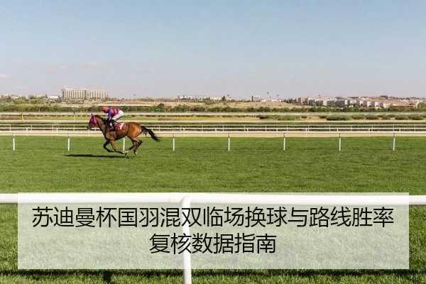 苏迪曼杯国羽混双临场换球与路线胜率复核数据指南