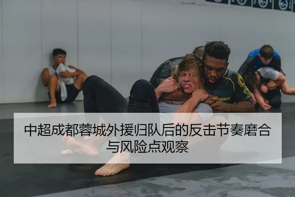 中超成都蓉城外援归队后的反击节奏磨合与风险点观察
